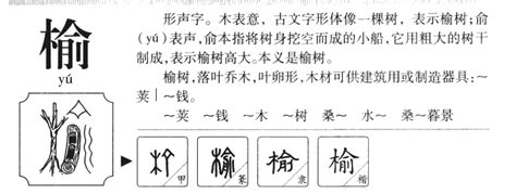 榆五行|榆字五行属什么